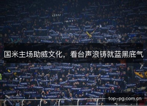 国米主场助威文化,看台声浪铸就蓝黑底气 国米主场助威文化,看台声浪铸就蓝黑底气